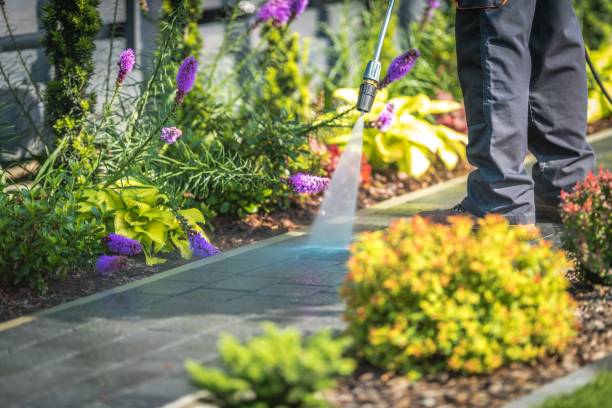 Best Residential Pressure Washing in Anacoco, LA