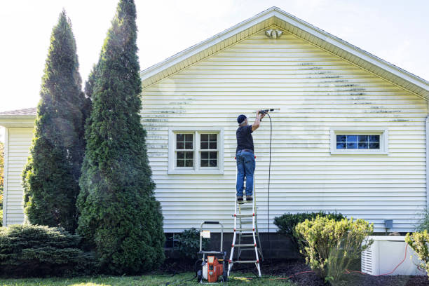 Best Fence Cleaning and Maintenance in Anacoco, LA